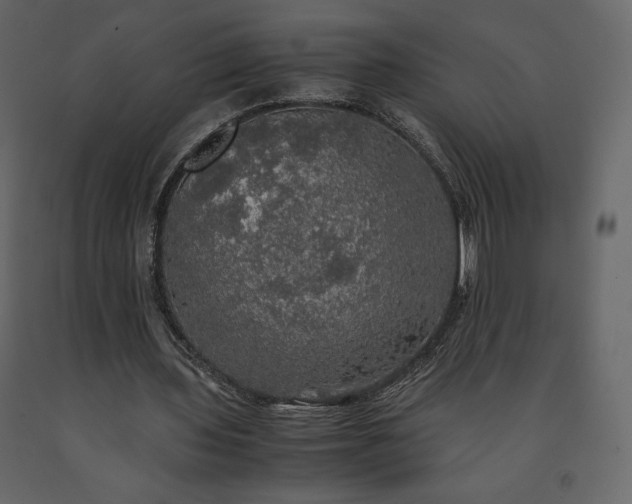 X0000091550435200708241759