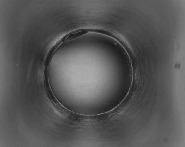 X0000091550436200708241759