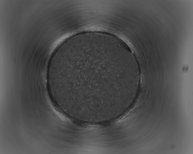 X0000091550438200708241759