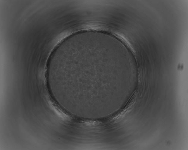 X0000091550439200708241759
