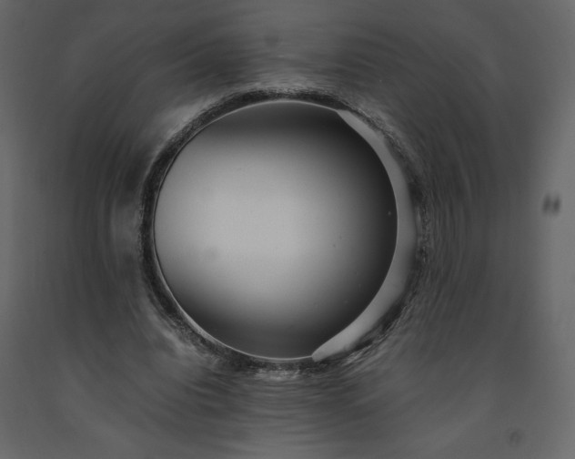 X0000091550440200708241759