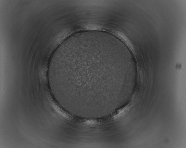 X0000091550441200708241759