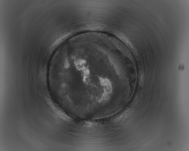 X0000091550442200708241759