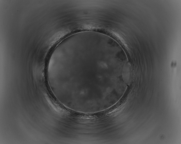 X0000091550443200708241759