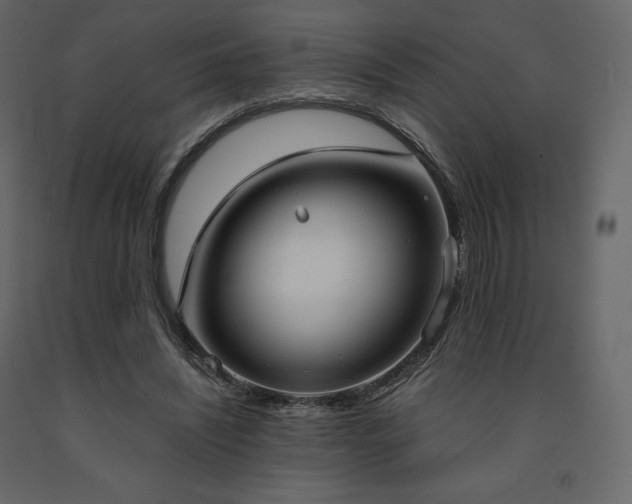 X0000091550444200708241759