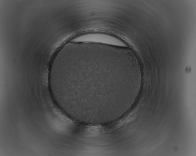 X0000091550446200708241759
