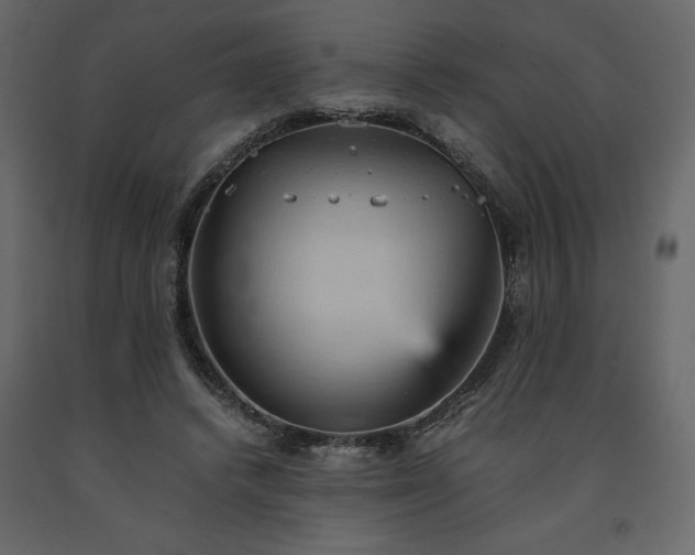 X0000091550448200708241759