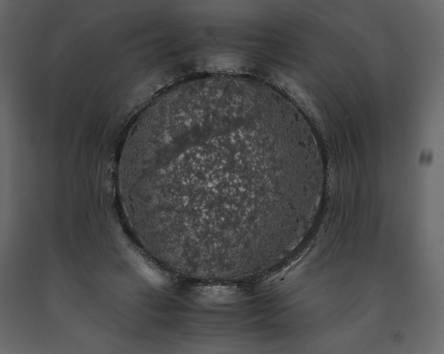 X0000091550449200708241759