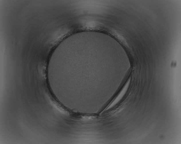 X0000091550450200708241759