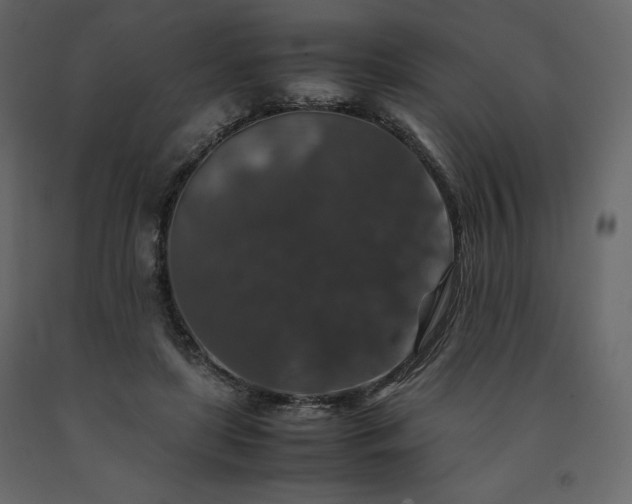 X0000091550451200708241759