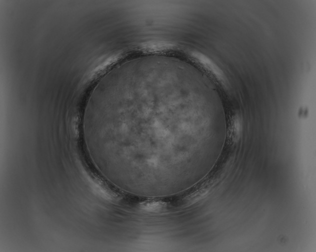 X0000091550452200708241759