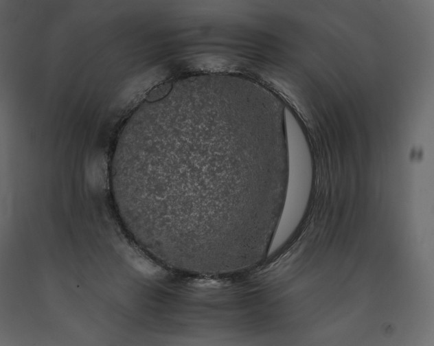 X0000091550453200708241759