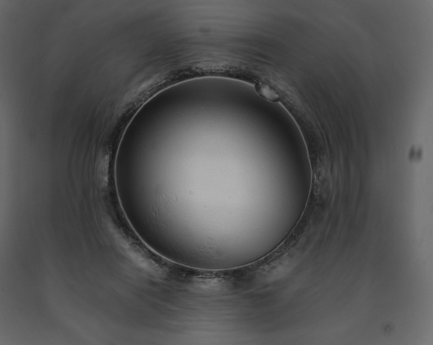X0000091550454200708241759
