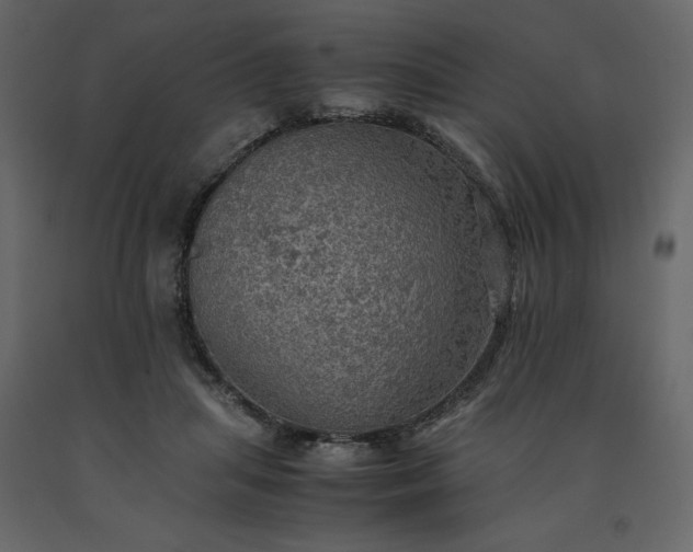 X0000091550455200708241759