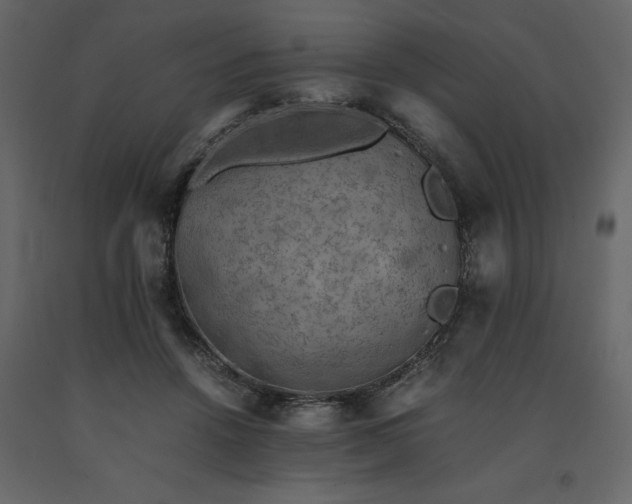 X0000091550456200708241759