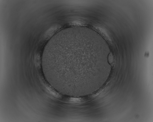 X0000091550457200708241759