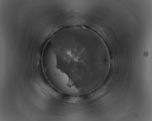 X0000091550458200708241759