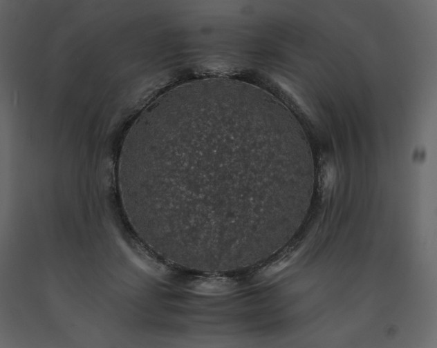 X0000091550459200708241759