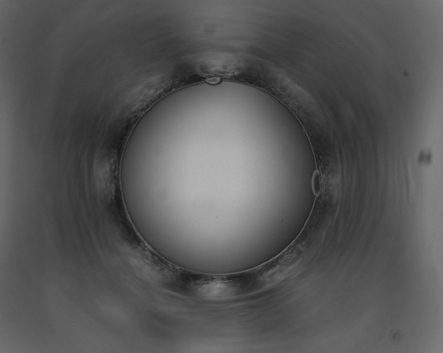 X0000091550460200708241759
