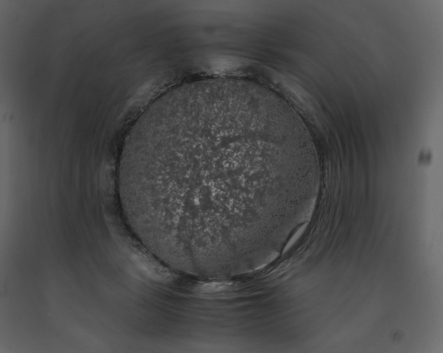 X0000091550461200708241759