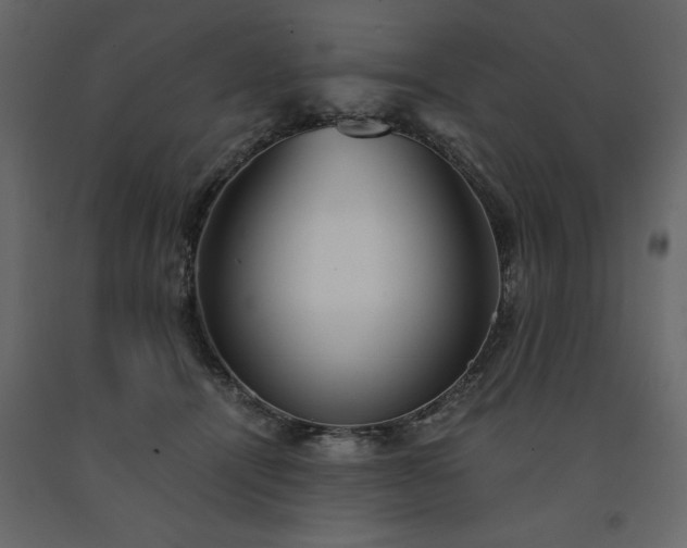 X0000091550464200708241759