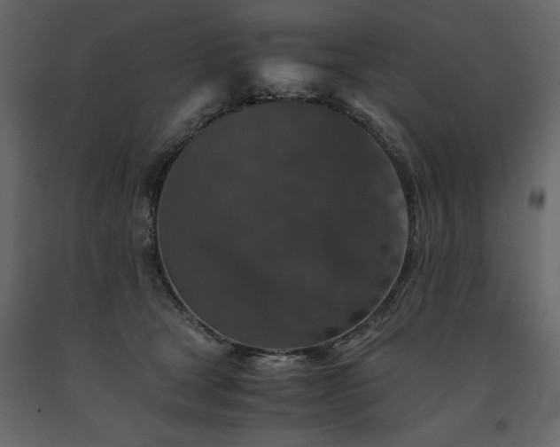 X0000091550465200708241759