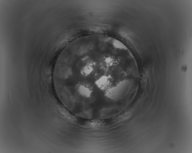 X0000091550466200708241759