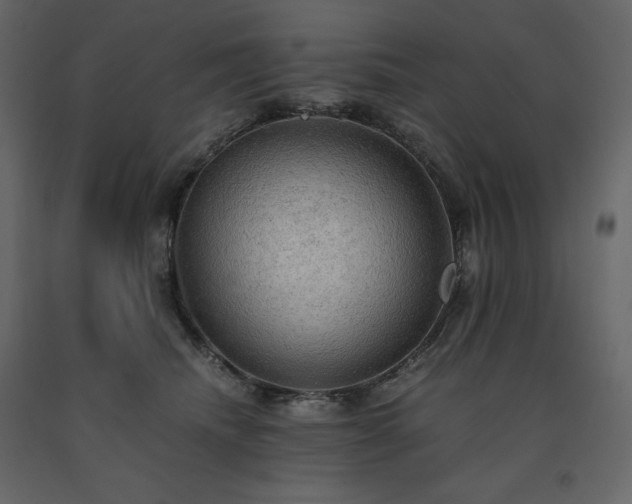 X0000091550468200708241759