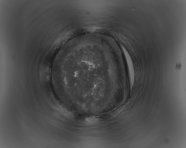 X0000091550470200708241759