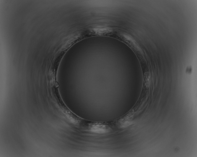 X0000091550471200708241759