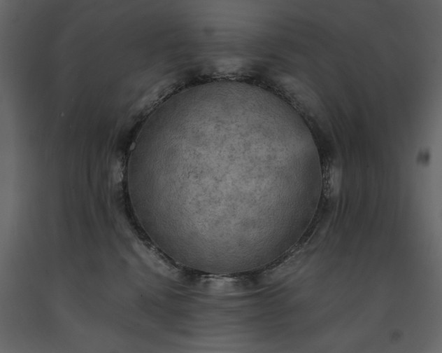 X0000091550472200708241759