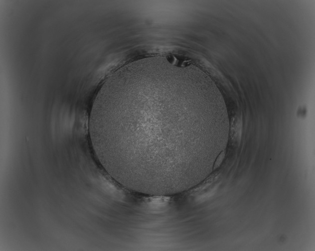 X0000091550474200708241759