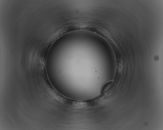 X0000091550476200708241759