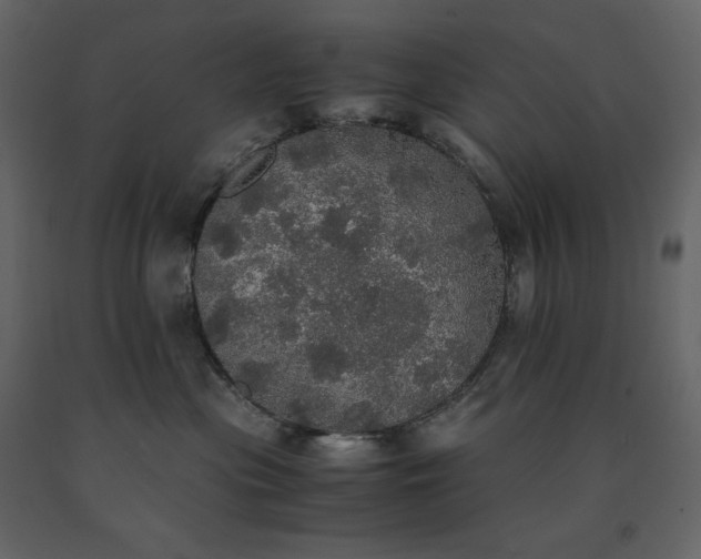 X0000091550477200708241759