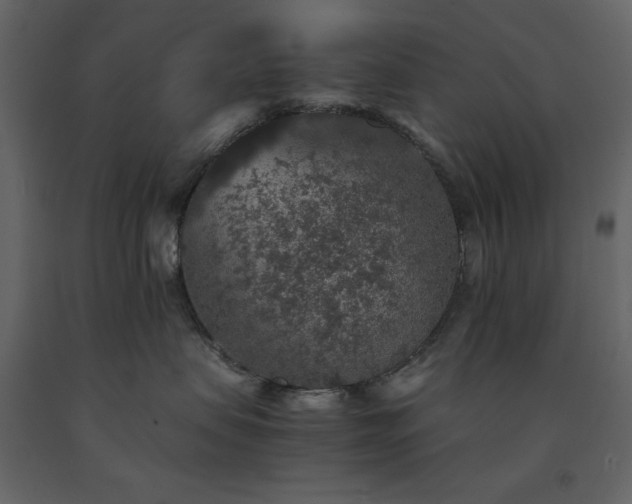 X0000091550479200708241759