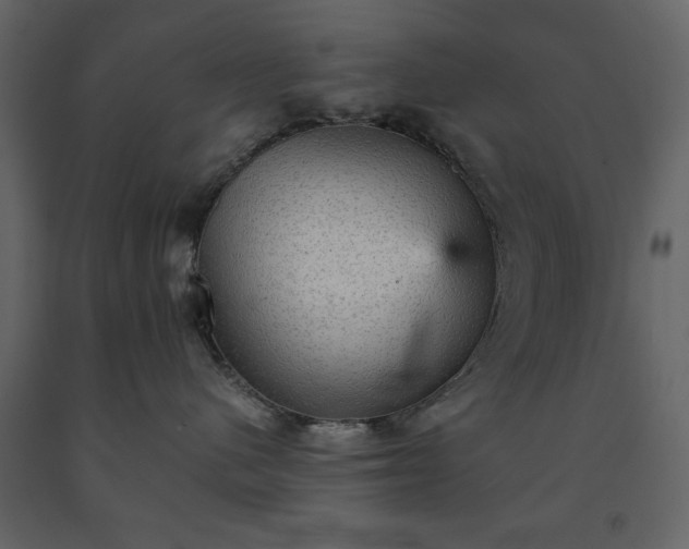 X0000091550480200708241759