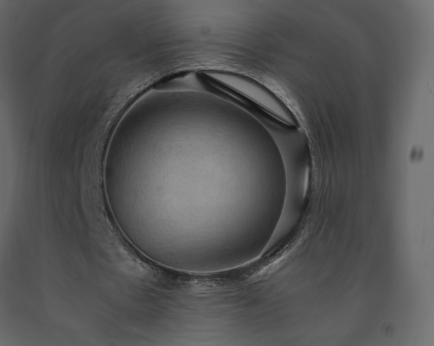 X0000091550481200708241759