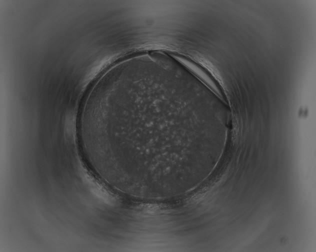 X0000091550482200708241759