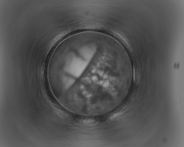 X0000091550483200708241759