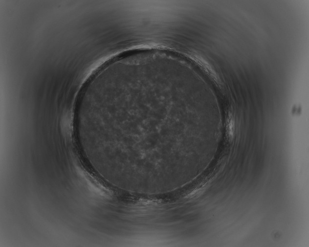 X0000091550484200708241758