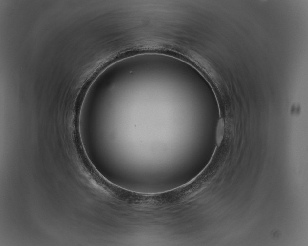 X0000091550485200708241758