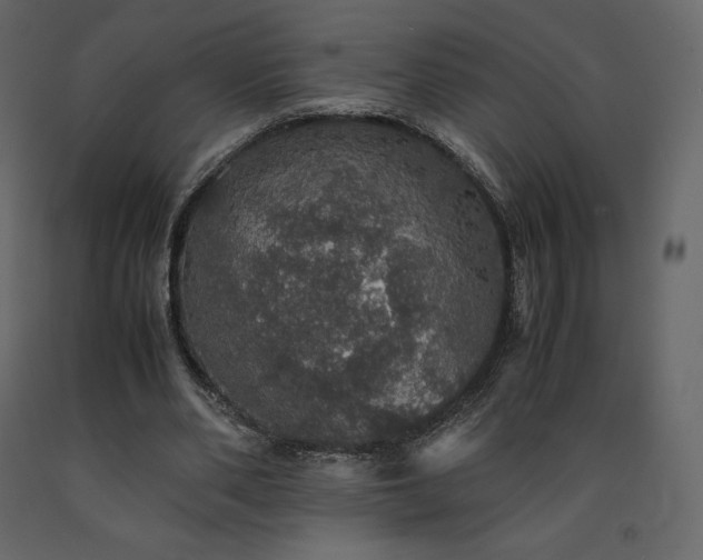 X0000091550486200708241758