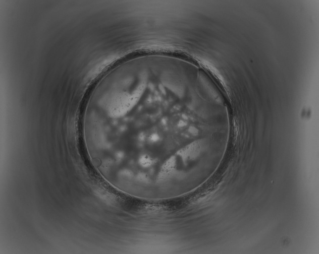 X0000091550487200708241758
