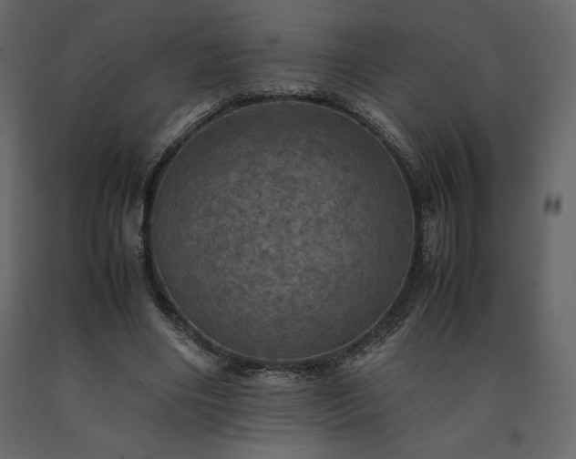X0000091550490200708241758