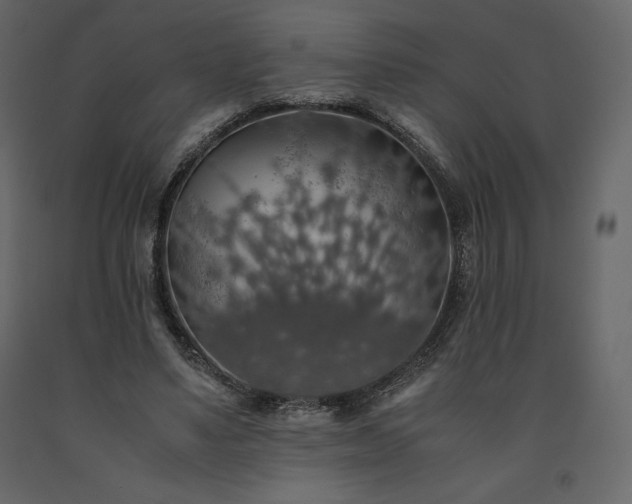 X0000091550491200708241758