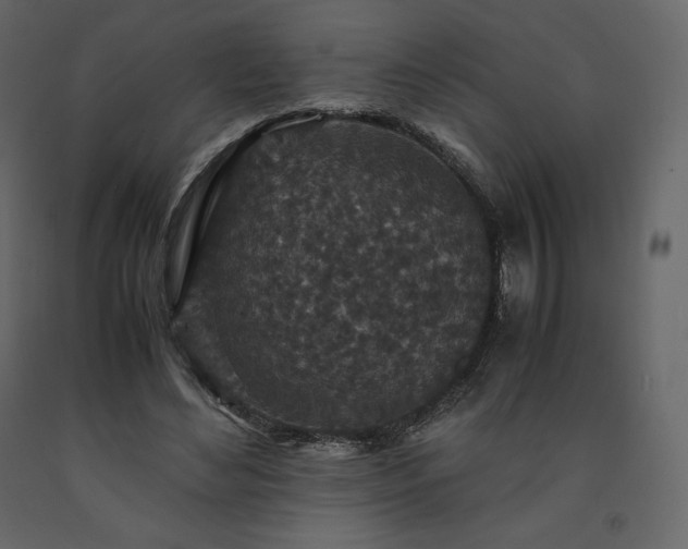X0000091550492200708241758