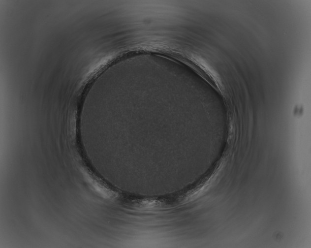X0000091550493200708241758