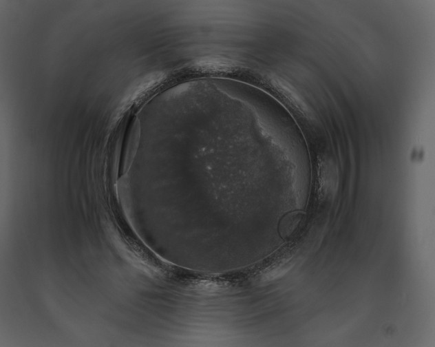X0000091550494200708241758