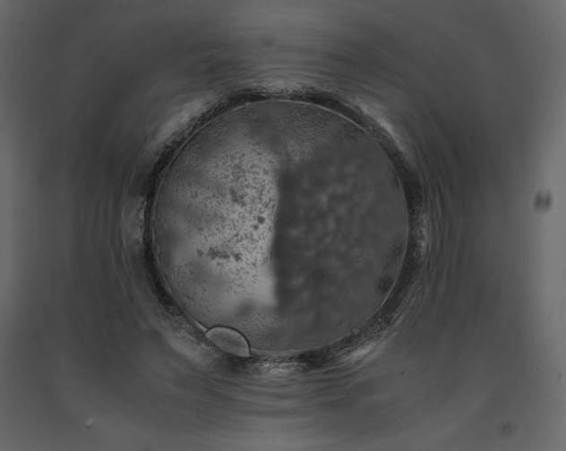 X0000091550495200708241758