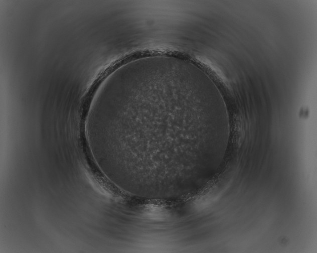 X0000091550496200708241758